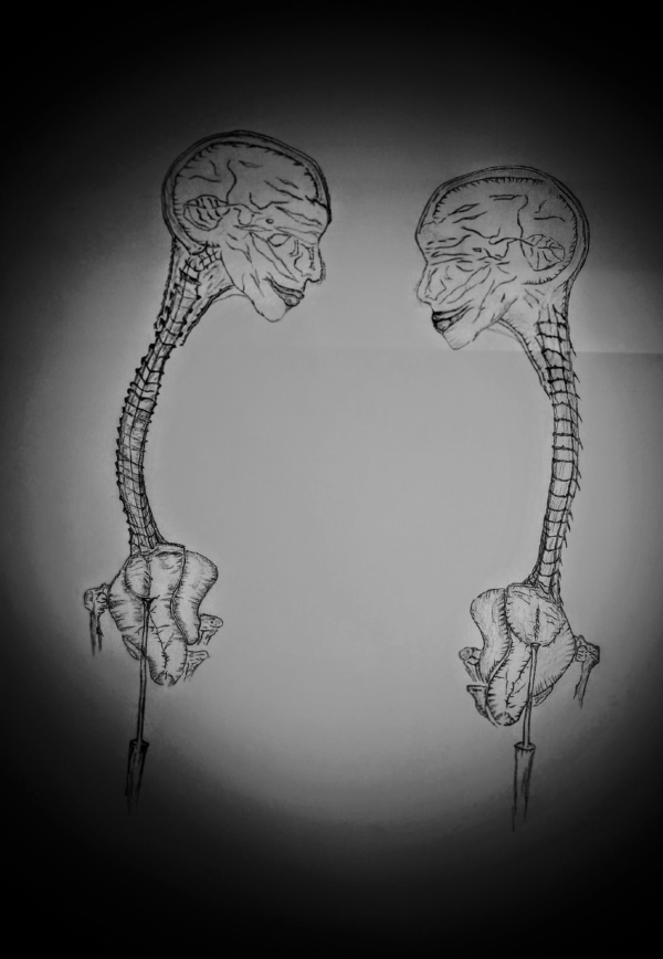 Two skeletal figures