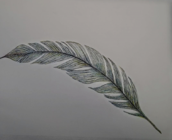 A Feather